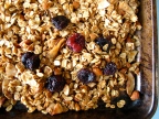 Almond Coconut Granola with Dried Cherries
